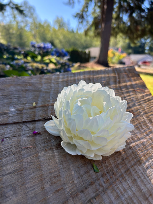 Hollyhill Creamy
